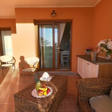 펜션 Rey Palma House 400 M Dal Mare Piscina Esclusiva 코스타 레이