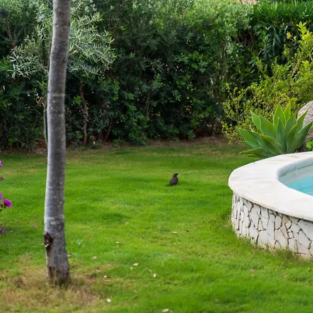 Rey Palma House 400 M Dal Mare Piscina Esclusiva